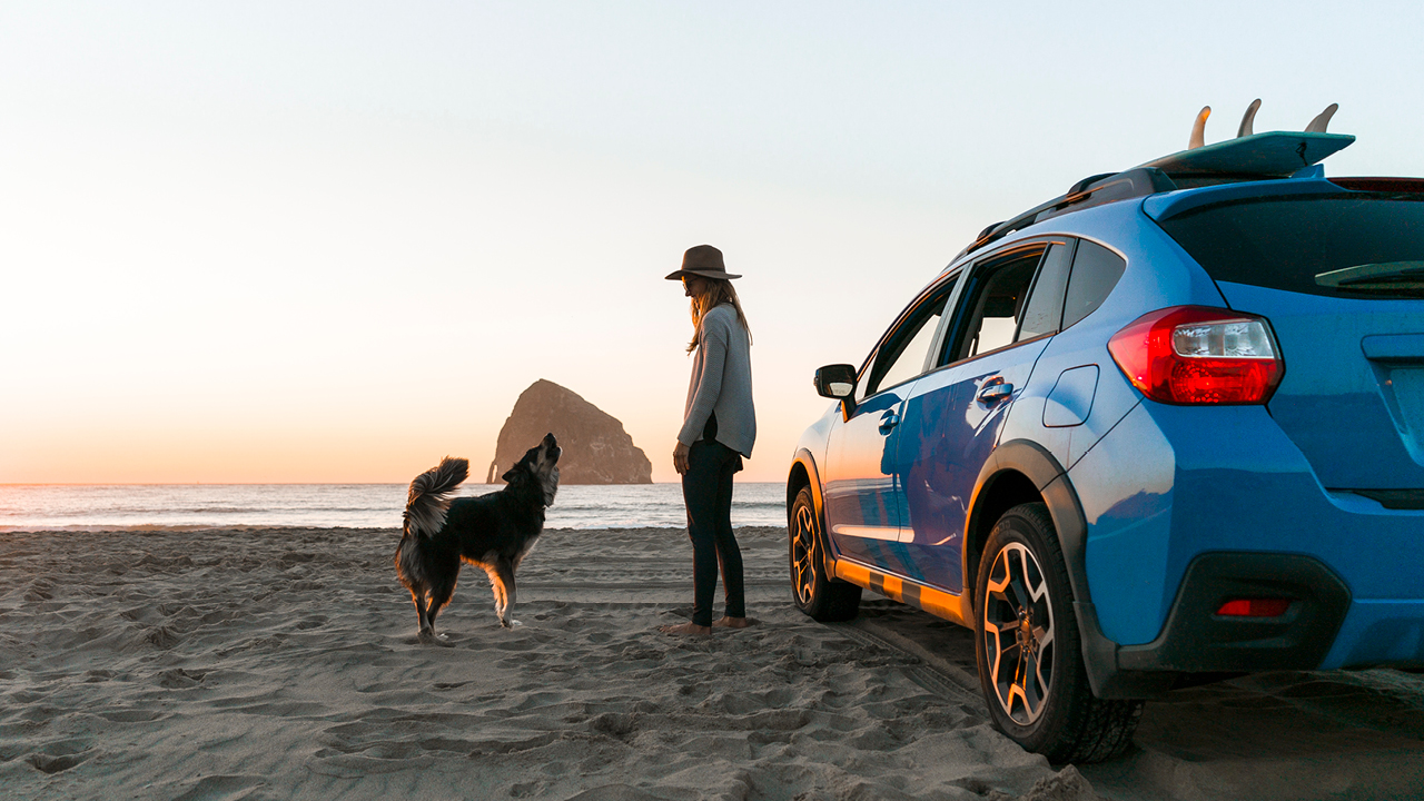 A woman standing on the beach with dog and car; image used for HSBC Australia Personal Loans FAQs.